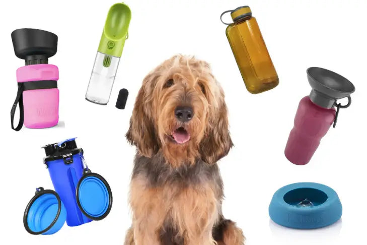 Travel Bowls & Water Bottles