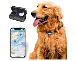GPS Trackers