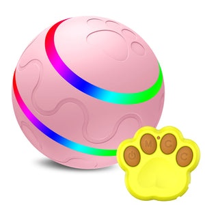 Cat Wicked Ball Toy