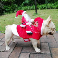 Hond Kerst Kleding Kerstman
