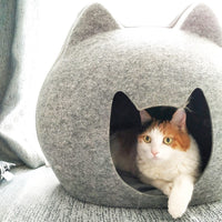 Kattenhuis