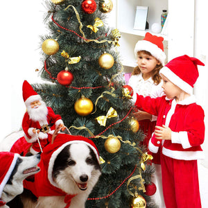 Hond Kerst Kleding Kerstman