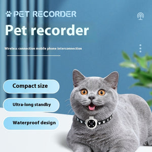 Huisdierenrecorder Huisdier Tracker Halsband Honden En Katten Kijkhoek Bewegingsopname Camera Actiecamera Met Video Neemt Kattenhalsbanden Camera Sport Huisdierproducten op