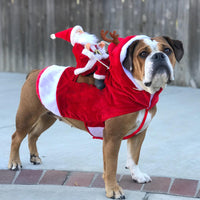 Hond Kerst Kleding Kerstman