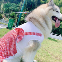 Halloween Custome Princess