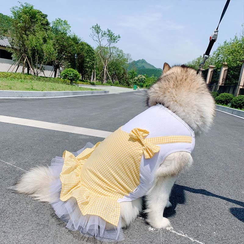 Halloween Custome Princess