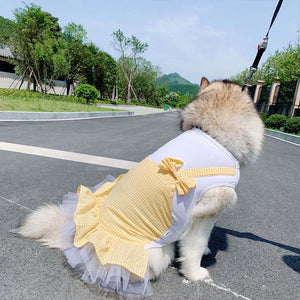 Halloween Custome Princess