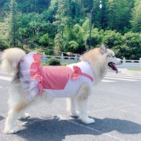 Halloween Custome Princess