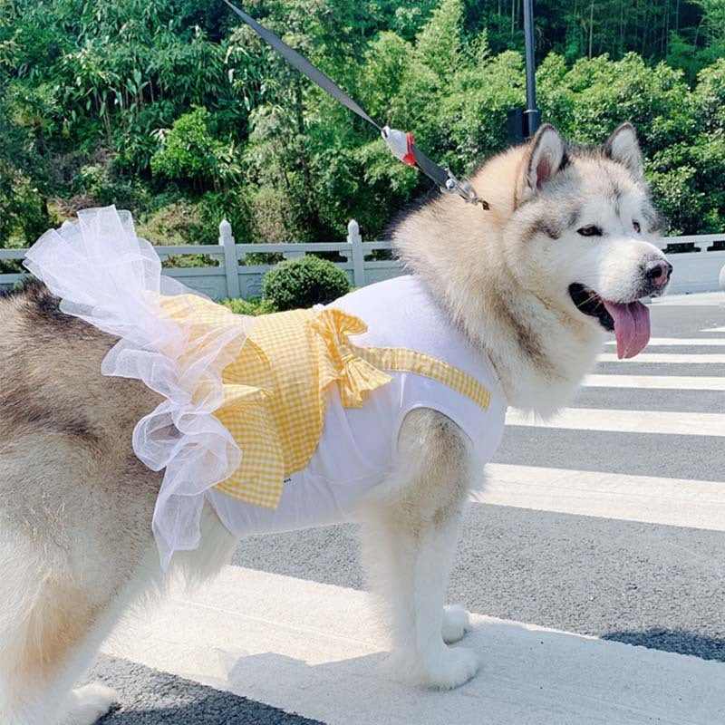 Halloween Custome Princess