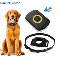 GPS Tracker pets