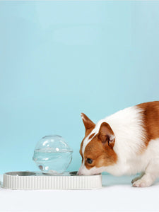 Plastic Huisdier Voer Drinkers Kat Hond Automatische Voerbak Drinkbak Huisdier Voerbak Waterbak Voor Huisdieren Hond Automatische Drinkers
