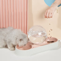 Automatic Pet Feeder