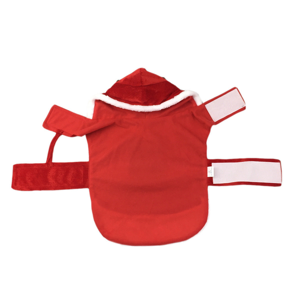 Hond Kerst Kleding Kerstman
