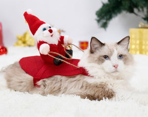 Hond Kerst Kleding Kerstman