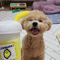 Pet voice toys