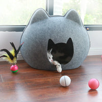 Kattenhuis