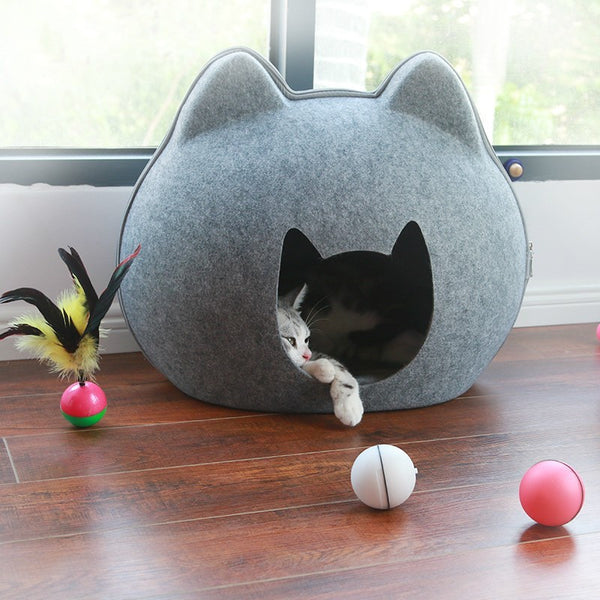 Kattenhuis
