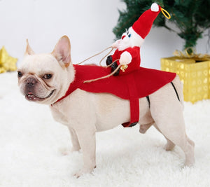 Hond Kerst Kleding Kerstman