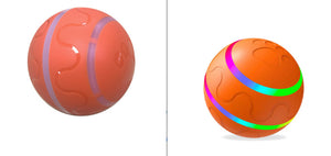 Cat Wicked Ball Toy