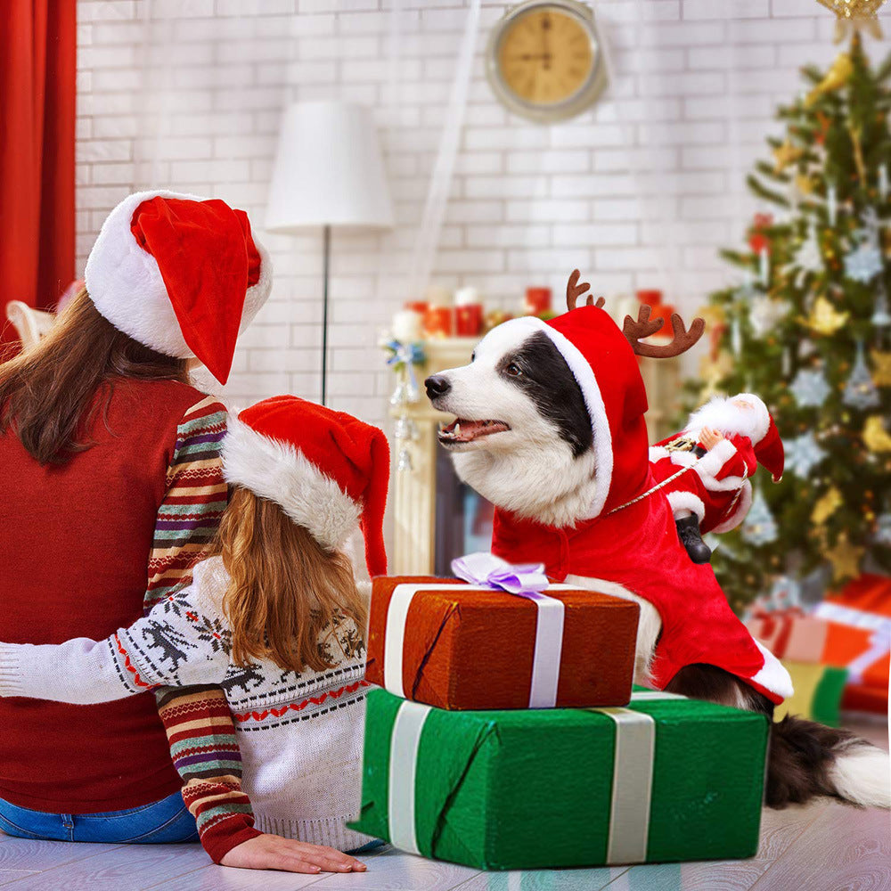 Hond Kerst Kleding Kerstman