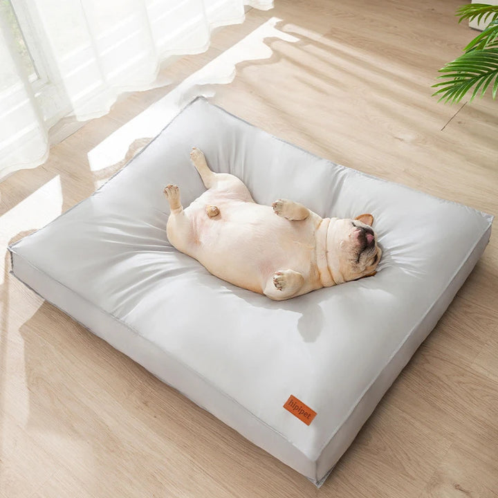 Pet Sofas Beds