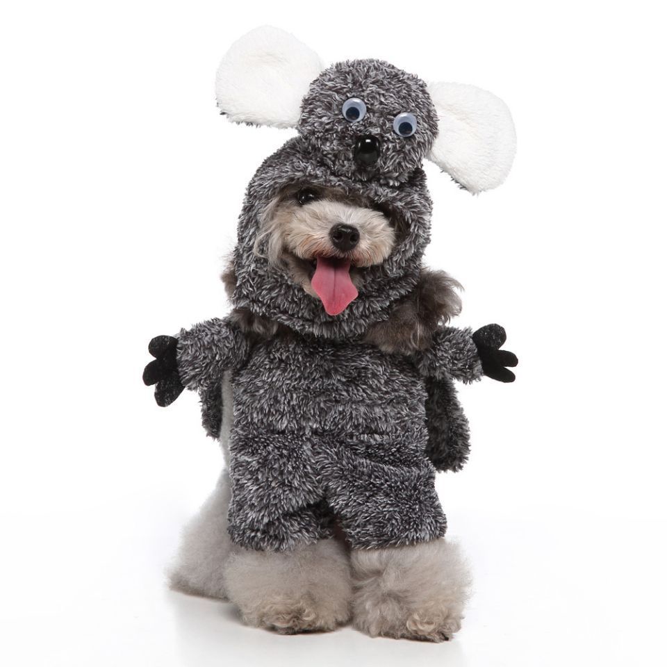 European And American Pet Costume Clothing