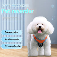 Pets Recorder Pet Tracker Collar Dogs And Cats