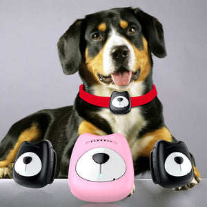 Huisdier Locator Gps Tracker Kat En Hond Anti Verloren