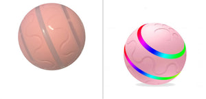 Cat Wicked Ball Toy