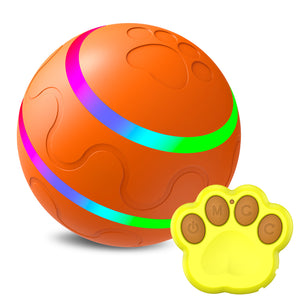 Cat Wicked Ball Toy