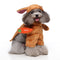 PF74 Brown Rabbit