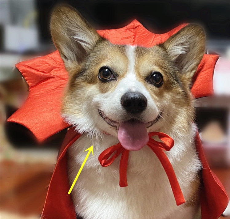 Halloween Costume Cape Vampire King