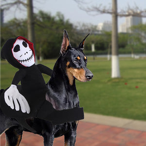 Halloween Costume Spider Pumpkin Vest